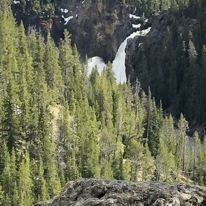 Meet your Posher, Joanna